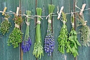 žolės kojų nagų grybeliui gydyti